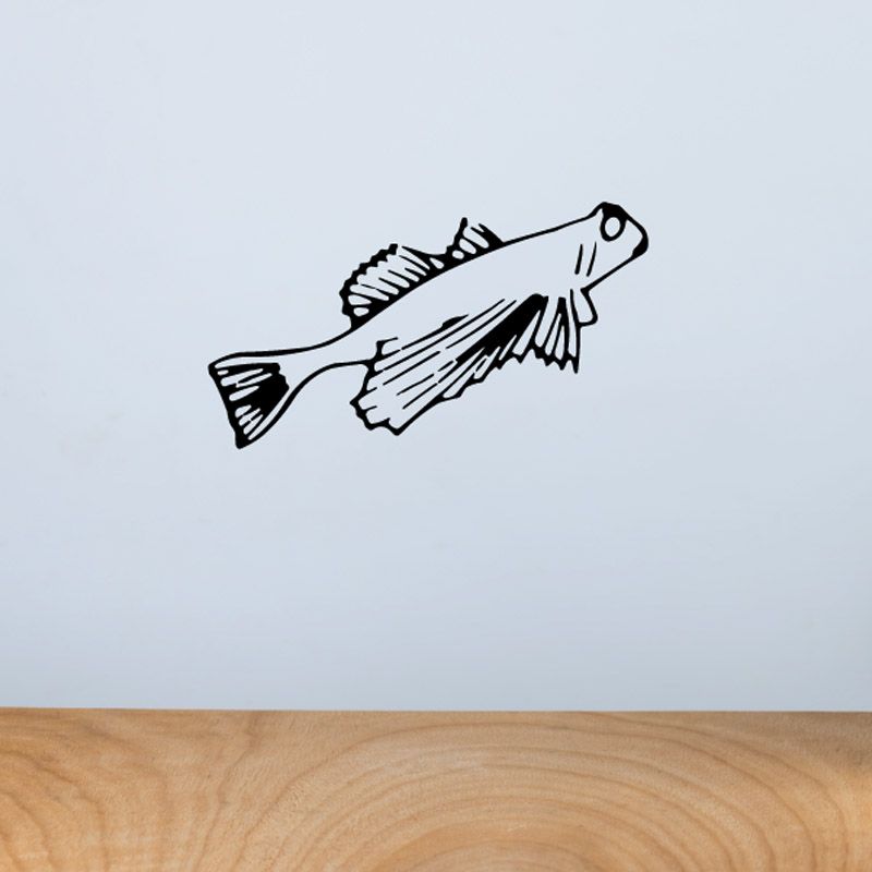 Image of Mudskipper Fish Decal