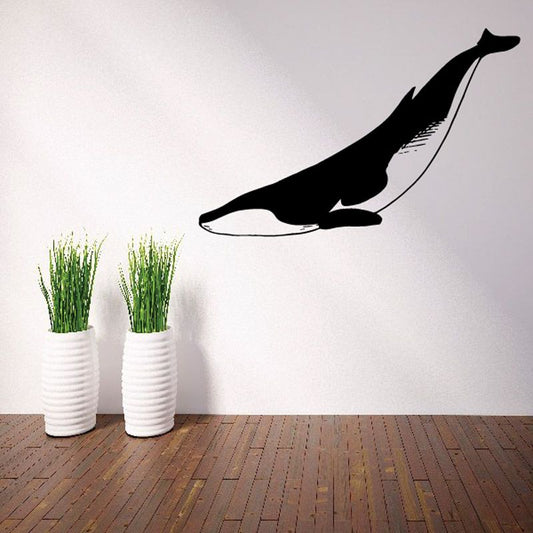 Image of Noble Diving Fin Whale Decal