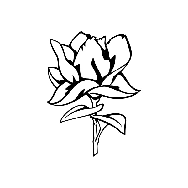 Image of Outlined Flower Decals