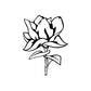 Image of Outlined Flower Decals