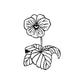 Image of Outlined Flower Decals