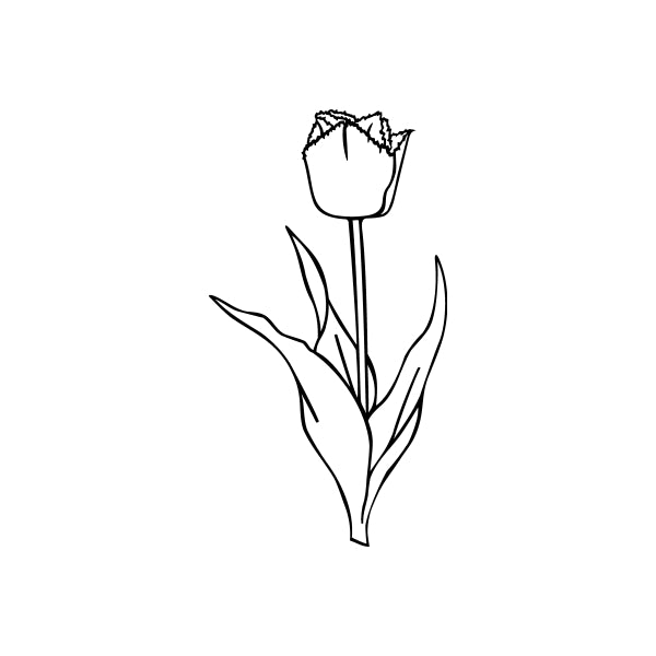 Image of Outlined Flower Decals