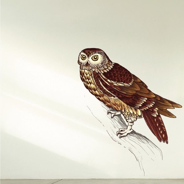 Image of Owl Perched on Branch Sticker