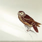Brown owl perched on a branch sticker with white markings and green eyes