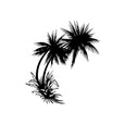 Image of Palm Tree Decals