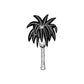 Image of Palm Tree Decals