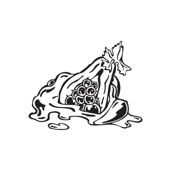 Papaya decal in black line art with fruit and seed details