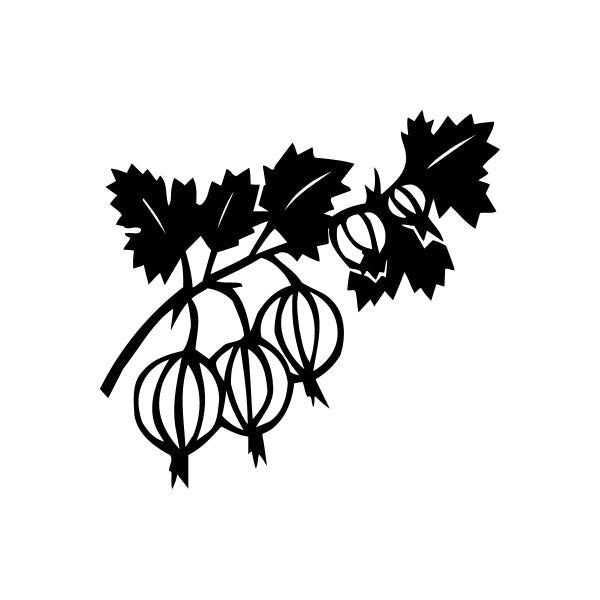 Image of Passion Fruit Growing Decal