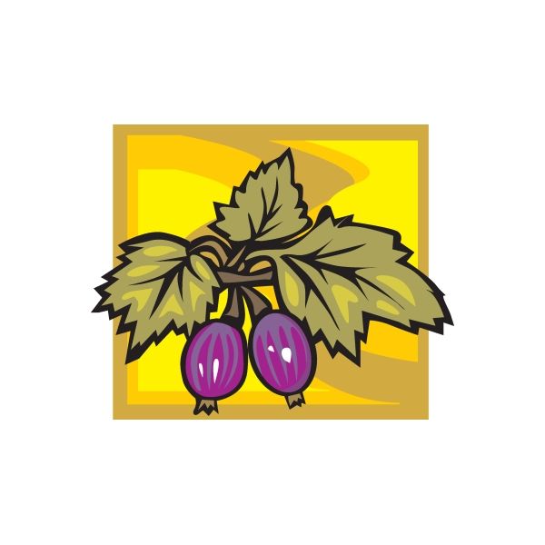 Image of Passion Fruit Sticker