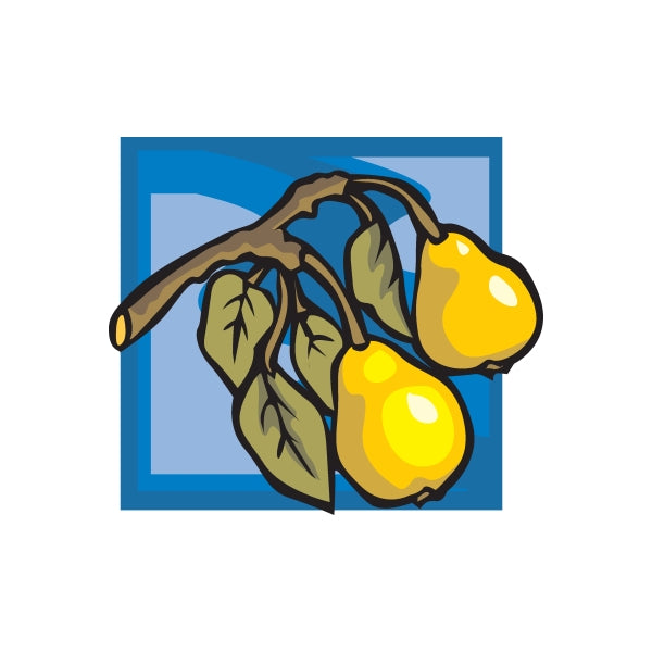 Pear sticker with two yellow pears and green-brown leaf illustration