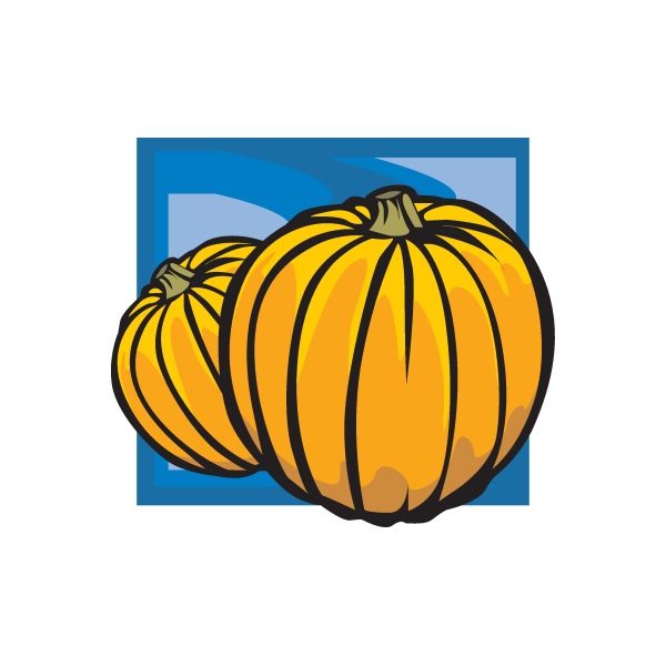 Image of Pumpkins Sticker