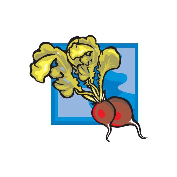 Raddish Sticker – Vinyl Disorder
