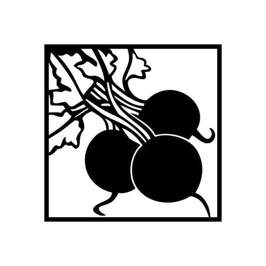 Image of Radish in square Decal