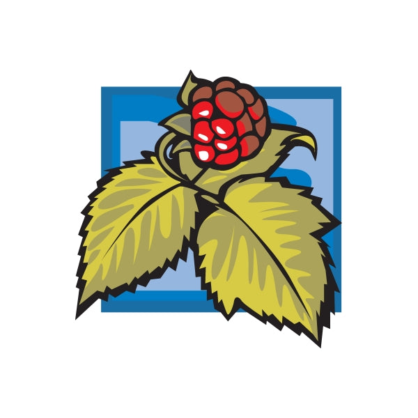 Image of Raspberry on Vine Sticker