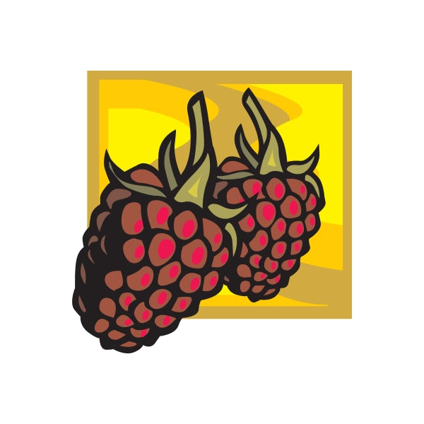 Raspberry and blackberry sticker, overlapping dark berries with red spots and leaves
