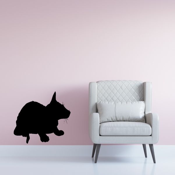 Image of Relaxed Kitten Resting Decal