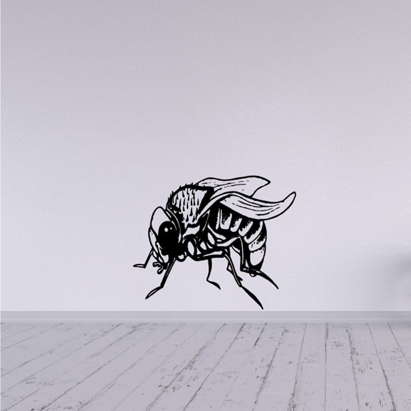 Bot fly decal with resting detailed line-art insect in black