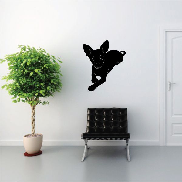 Image of Resting Chihuahua Decal