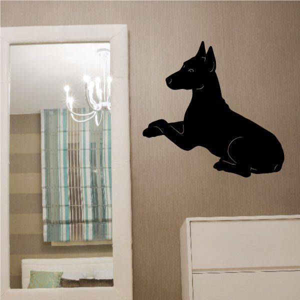 Resting miniature pinscher dog decal, black silhouette with curled tail and open collar
