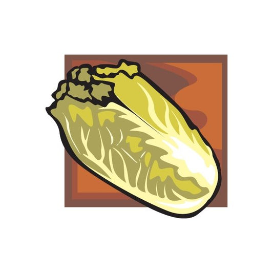 Image of Romaine Lettuce Sticker