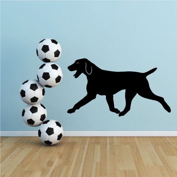 Running Bluetick Coonhound decal of a black dog with soccer balls