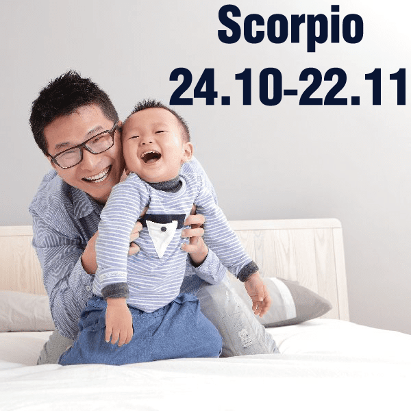 Scorpio text and date wall decal with 24.10-22.11 lettering