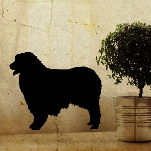 Australian cattle dog decal, dark shaggy silhouette, standing side view