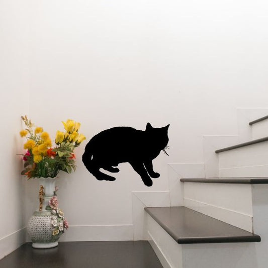 Image of Shy Cat Decal