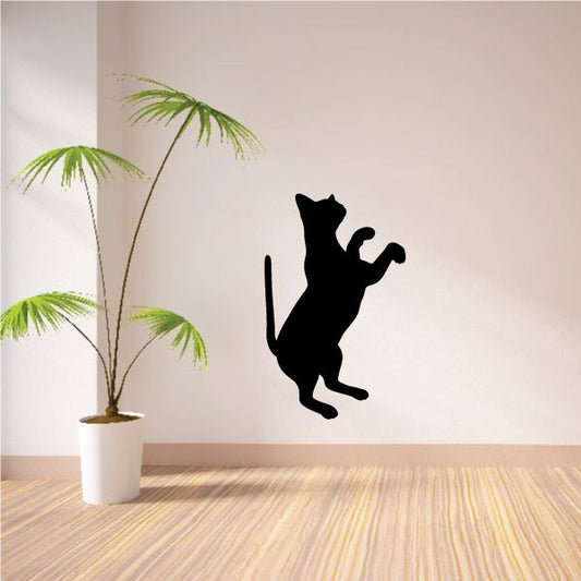 Image of Siamese Cat Frisky Decal