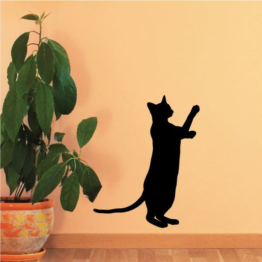 Image of Siamese Cat Reaching Up Decal