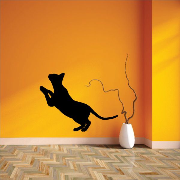 Image of Siamese Cat Ready to Jump Decal