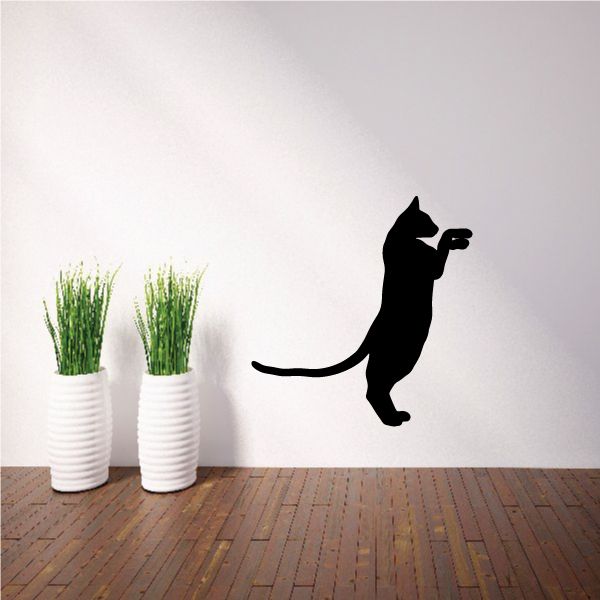 Image of Siamese Cat Standing Up Decal