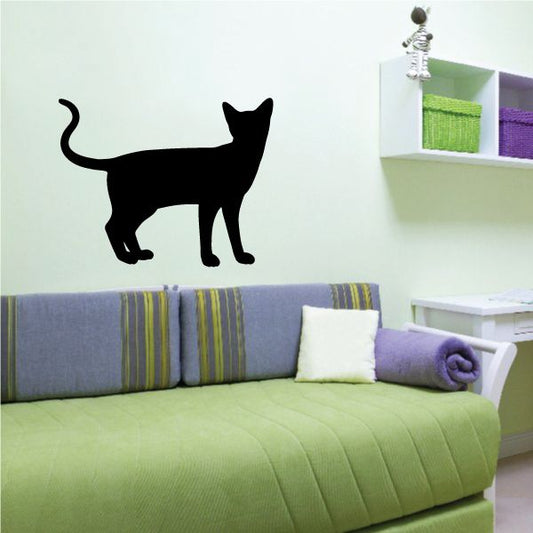 Image of Siamese Cat Staring Back Decal