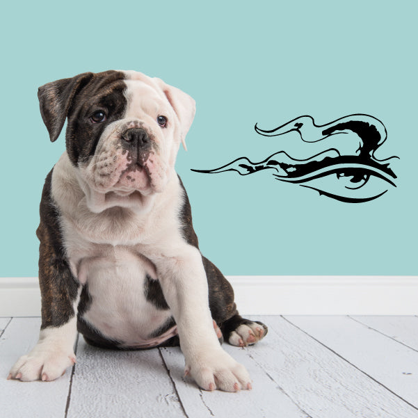 Image of Single Eye Decals