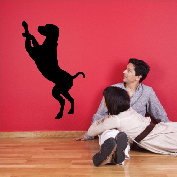 Sleepy coonhound decal with black silhouette, standing pose