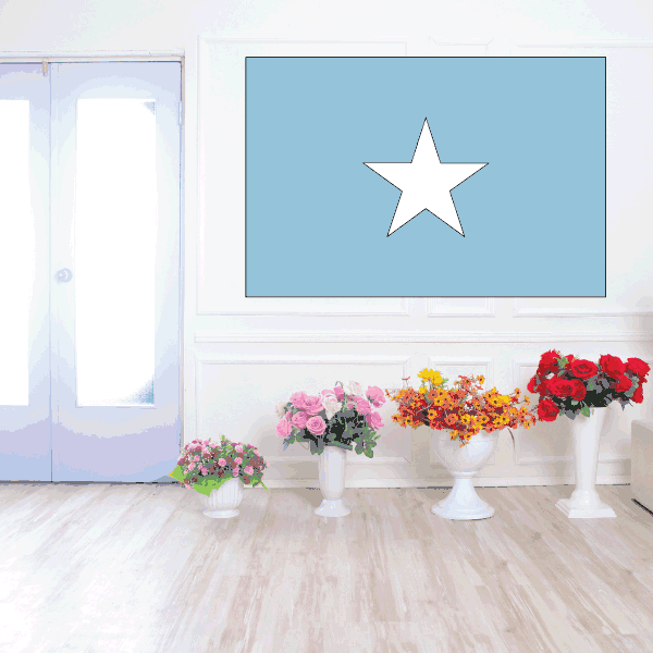 Image of Somalia Flag Sticker 