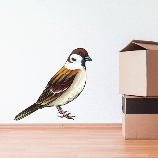 Image of Sparrow Sticker