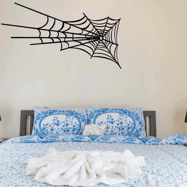 Image of Spider Web Decal