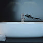 Sprinting whale wall decal in black, with motion lines
