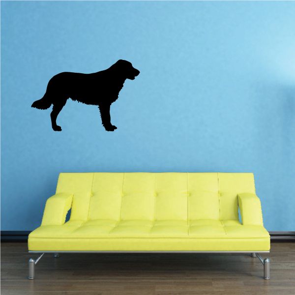 Standing Flat-Coated Retriever dog decal with black silhouette