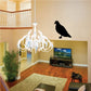 Black standing pigeon wall decal sticker