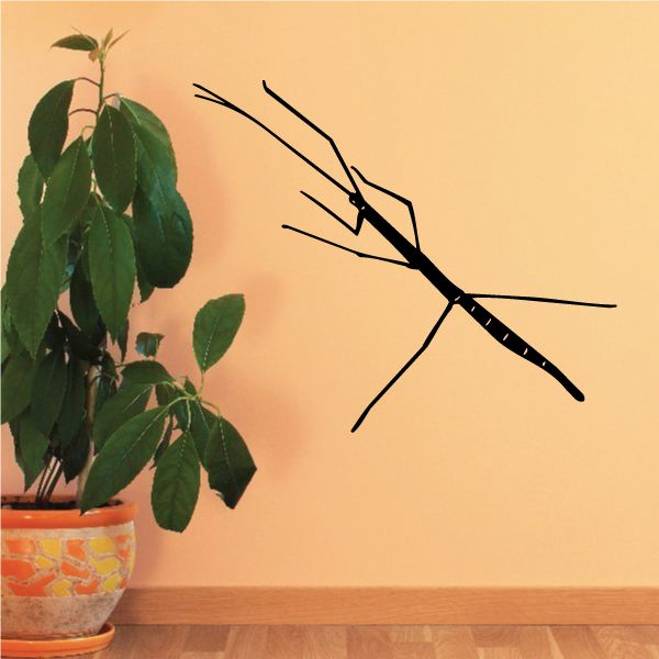 Stick bug decal: black stick insect with long legs and segmented body