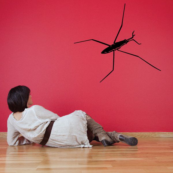 Stick bug phasmid wall decal, black illustrated insect with long legs
