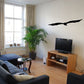 Black stretched-wing seagull wall decal