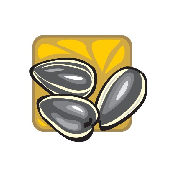 Sunflower seed sticker showing three stylized black-and-gray seeds with yellow background