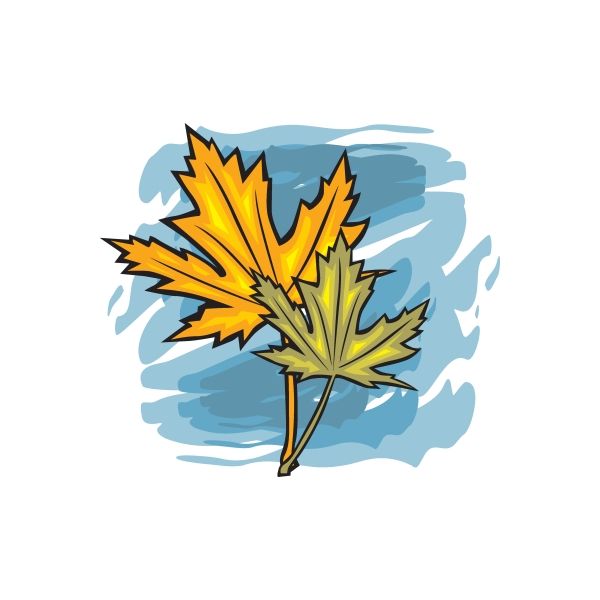 Image of Thanksgiving Fall Maple Leaves Sticker