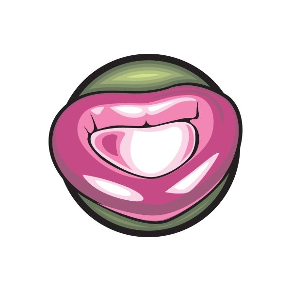 Die-cut vinyl sticker of stylized pink lips with white teeth
