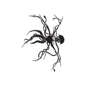 Black abstract insect-style wall decal with curled antennae