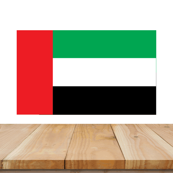 Image of United Arab Emirates Flag Sticker 