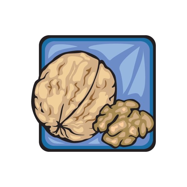 Walnut sticker with walnut halves in a rounded square
